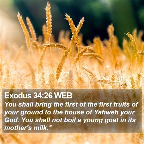 Exodus 34:26 WEB Scriptures Images