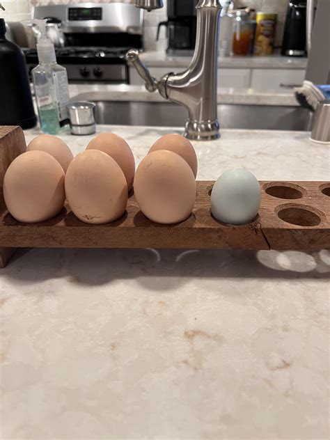 1st blue egg : r/chickens