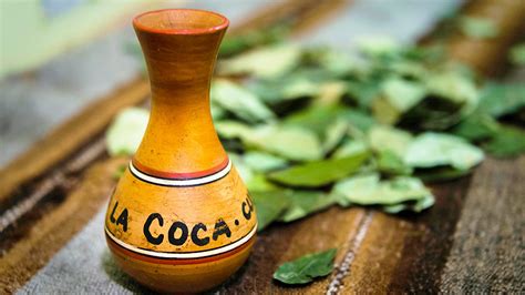 Coca Leaf Tea for Preventing Altitude Sickness | Blog Machu Travel Peru