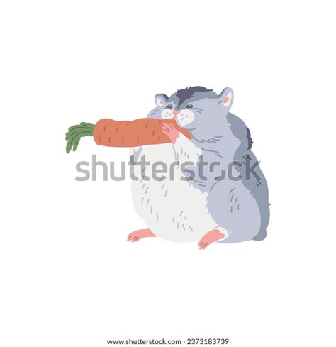 Hamster Eating Carrot: Over 83 Royalty-Free Licensable Stock Illustrations & Drawings | Shutterstock