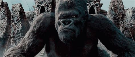 King Kong GIF–King Kong Kingkong2005 – finn og del GIF-er