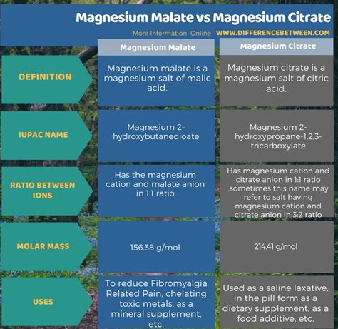 Difference Between Magnesium Malate and Magnesium Citrate | Compare the Difference Between ...