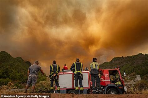 Thousands evacuated on Tenerife as 'worst wildfires in 40 years' rage out of control with ash ...