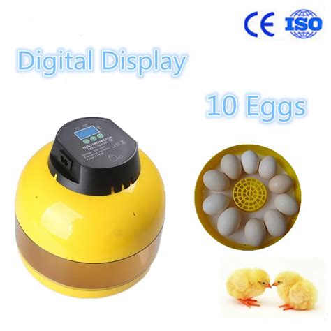 10 mini egg incubator quail manual egg incubator hatching quail eggs ...