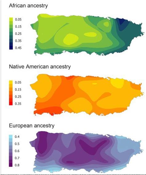 Ethnicity map of Puerto Rico : r/MapPorn