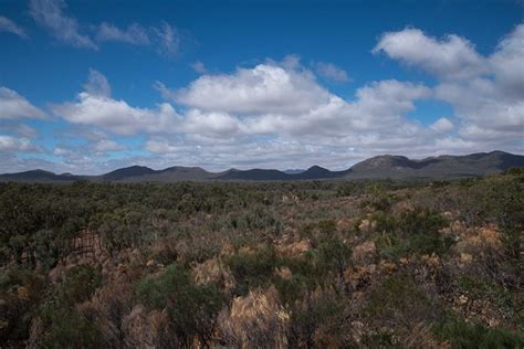 Wilpena Pound • Flinders Ranges Field Naturalists