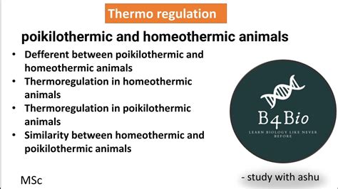 Thermoregulation in poikilothermic and homeothermic animals msc . - YouTube