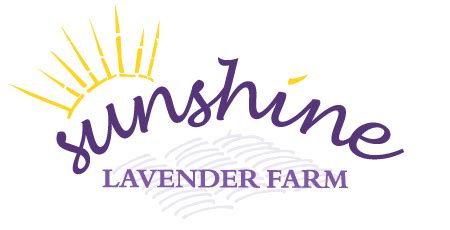 Home - sunshine lavender farm