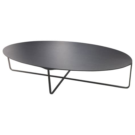 Montis Black Oval Flint Coffee Table | Coffee table, Whimsical coffee table, Decorating coffee ...