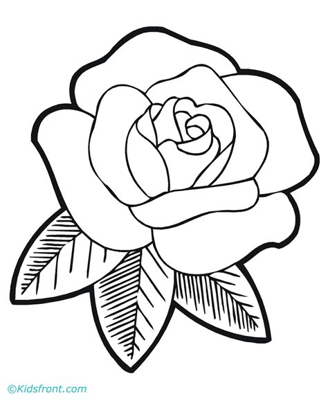 Free Rose Flowers Drawing, Download Free Rose Flowers Drawing png ...