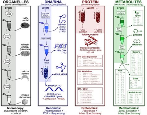 Biology Archives - Practically Science