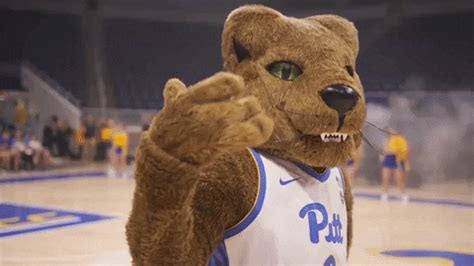 University Of Pittsburgh Mascot GIF by Pitt Panthers - Find & Share on GIPHY