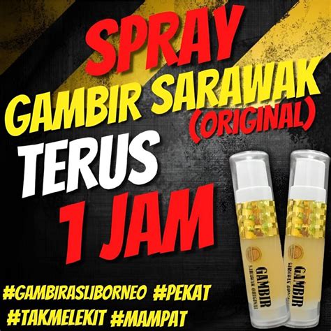 Gambir Sarawak Original