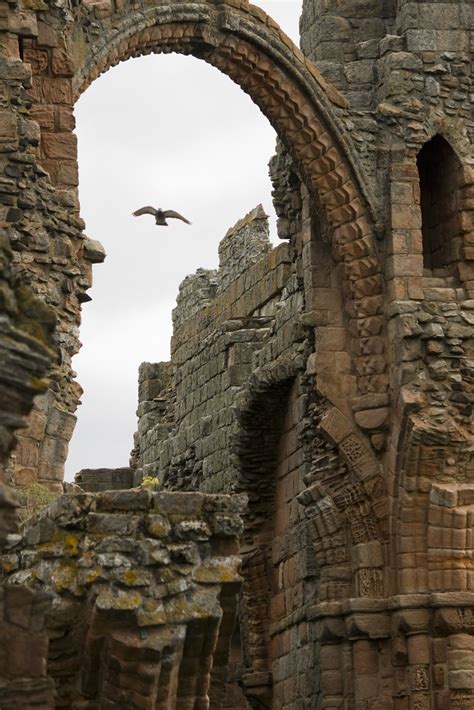 Priory Ruins | View of the ruins of Lindisfarne Priory, a mo… | Flickr