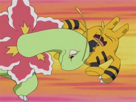 Image - Casey Meganium Tackle.png | Pokémon Wiki | FANDOM powered by Wikia