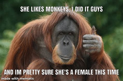 Mmm Monkey : MonkeyMemes