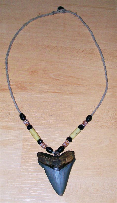 Megalodon Shark Tooth Necklace by Pheonixgirl128 on DeviantArt