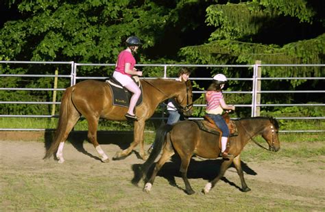 Dances With Horses: Pony rides