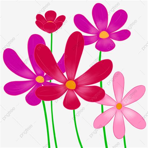 Tulips Spring Flowers Clipart Hd PNG, Spring Flowers Flowers ...