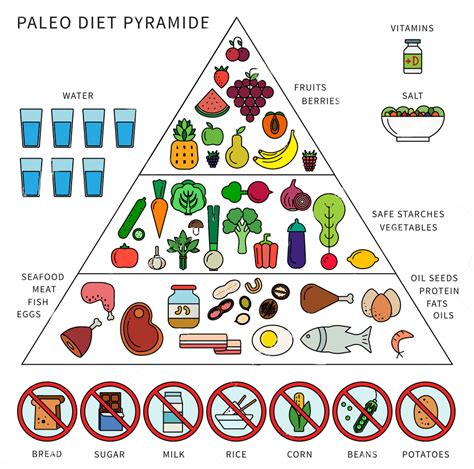 Piramide Alimentar Low Carb