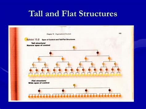 PPT - Chapter 15 Organizational Structure PowerPoint Presentation, free download - ID:1465956