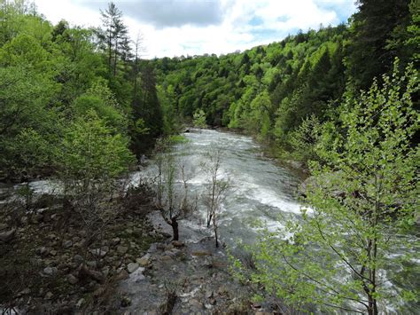 mnkcusa: Obed Wild and Scenic River, TN