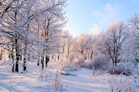 Magic moments: Splendid Russian winter in photos and literary quotes ...