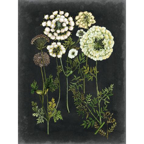 White Flowers on Black Canvas Wall Art, 18" x 24" | At Home