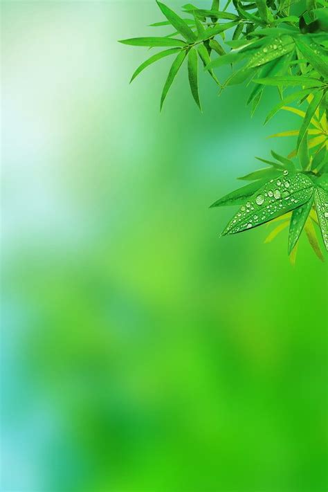 Simple natural green leaf h5 illustration background wallpaper image ...