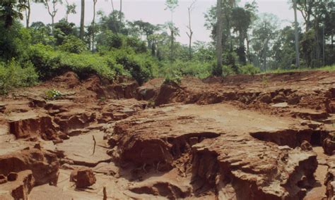 Soil erosion in Central African Republic | Photos | WWF