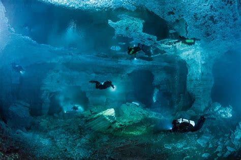 🤿 Cenotes Cancun, Cenotes Tulum Diving In Mexico [+Video]🏝🐬 2023