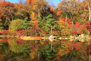 Fall Color Reflections | Anderson Japanese Gardens, Rockford… | Flickr