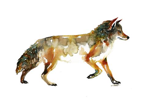 Coyote, Me, Watercolor, 2018 : r/Art