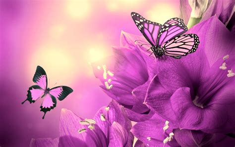 Pink Flower Butterfly Wallpapers - Top Free Pink Flower Butterfly ...