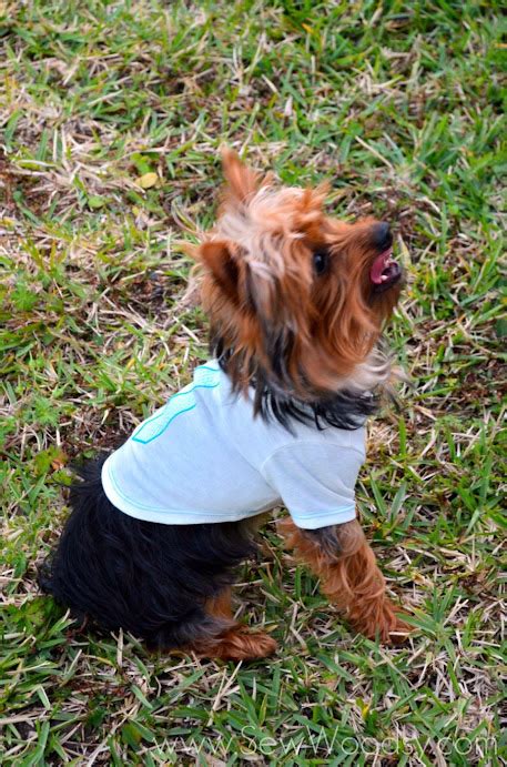 {Video} Martha Stewart Pets Spring Clothing Line - Sew Woodsy