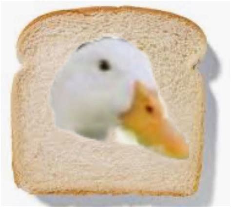 Duck bread : r/duck