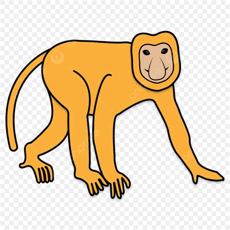 Monkey Illustration Vector Art PNG, Proboscis Monkey Illustration ...