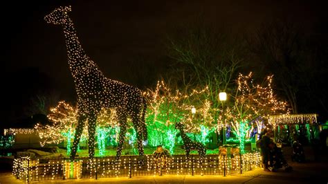 Wild Lights at Saint Louis Zoo back in November | ksdk.com