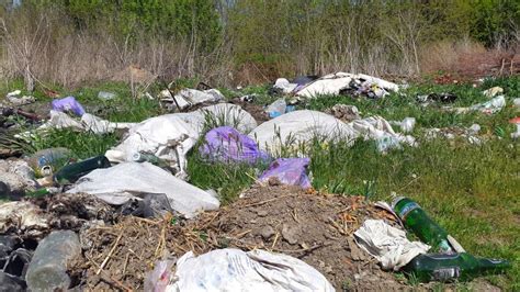 Garbage Dump.the Household Waste. Pollution of the Environment. Stock Photo - Image of debris ...