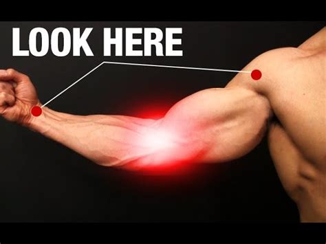 How to Fix Elbow Pain (ONE SIMPLE EXERCISE!) | ATHLEAN-X