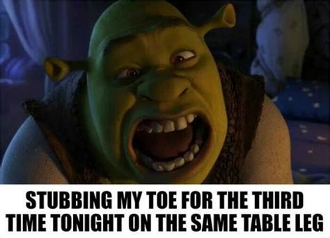 People Are Cracking Up At These 30 Spot-On Shrek Memes That Are Taking ...