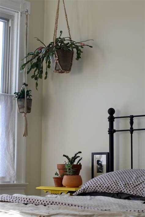 hanging plants | Home decor bedroom, Home decor, Decor