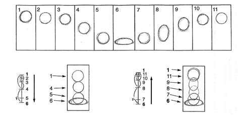 dentrodabiblia: bouncing ball animation