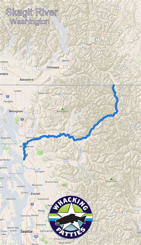 Skagit River Fishing Report | Fishing report, River fishing, Fly fishing