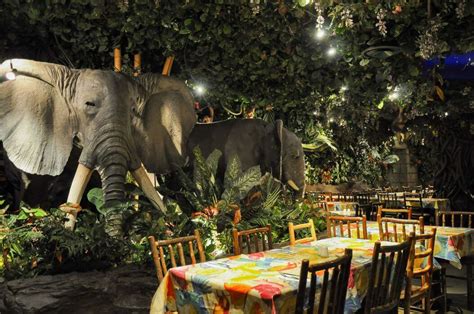 Rainforest Cafe - Soho - Sugarvine, The Nation's Local Dining Guide