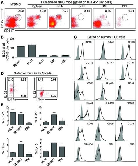 CD56 Monoclonal Antibody (MEM-188), PE-Texas Red (MHCD5617)