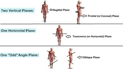 Oblique Plane – Rish Academy