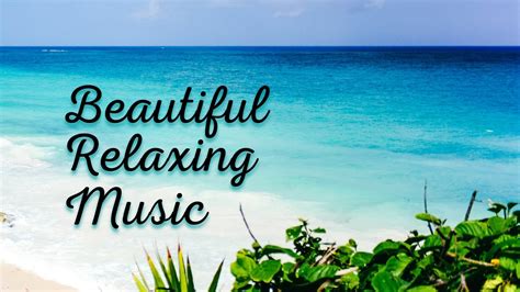 Beautiful Relaxing Ambient Music With Nature Sounds - YouTube