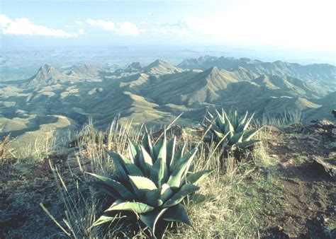 Chisos Mountains Lodge | Audley Travel UK