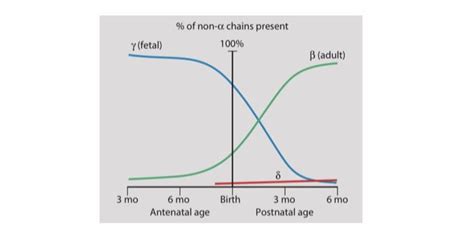 Sickle cell disease ‘ 🔸 Definition ⁃ Is an autosomal recessive hereditary haemoglobinopathies in ...